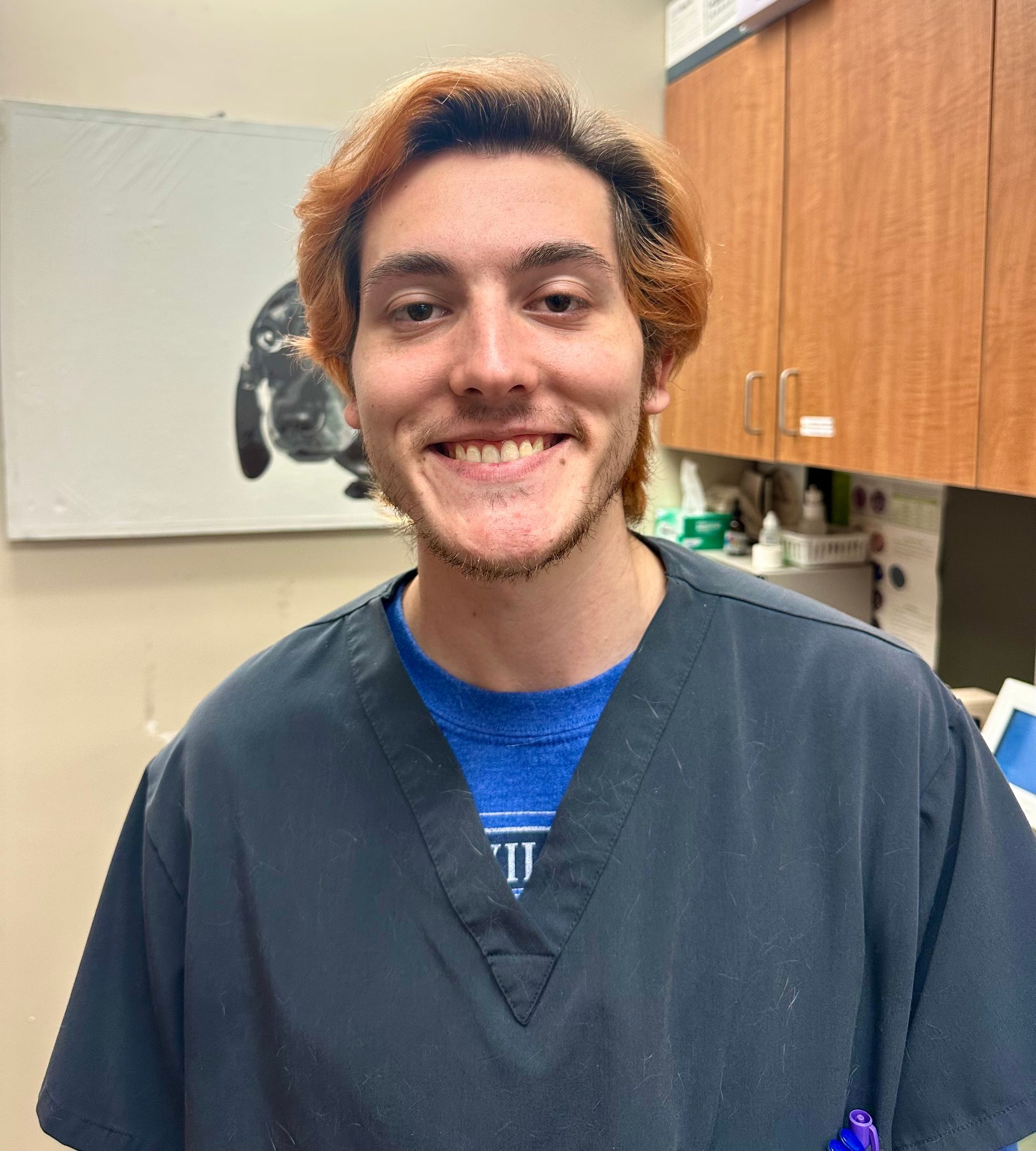 >Meet our Team At Hayfield Animal Hospital Veterinary Doctor