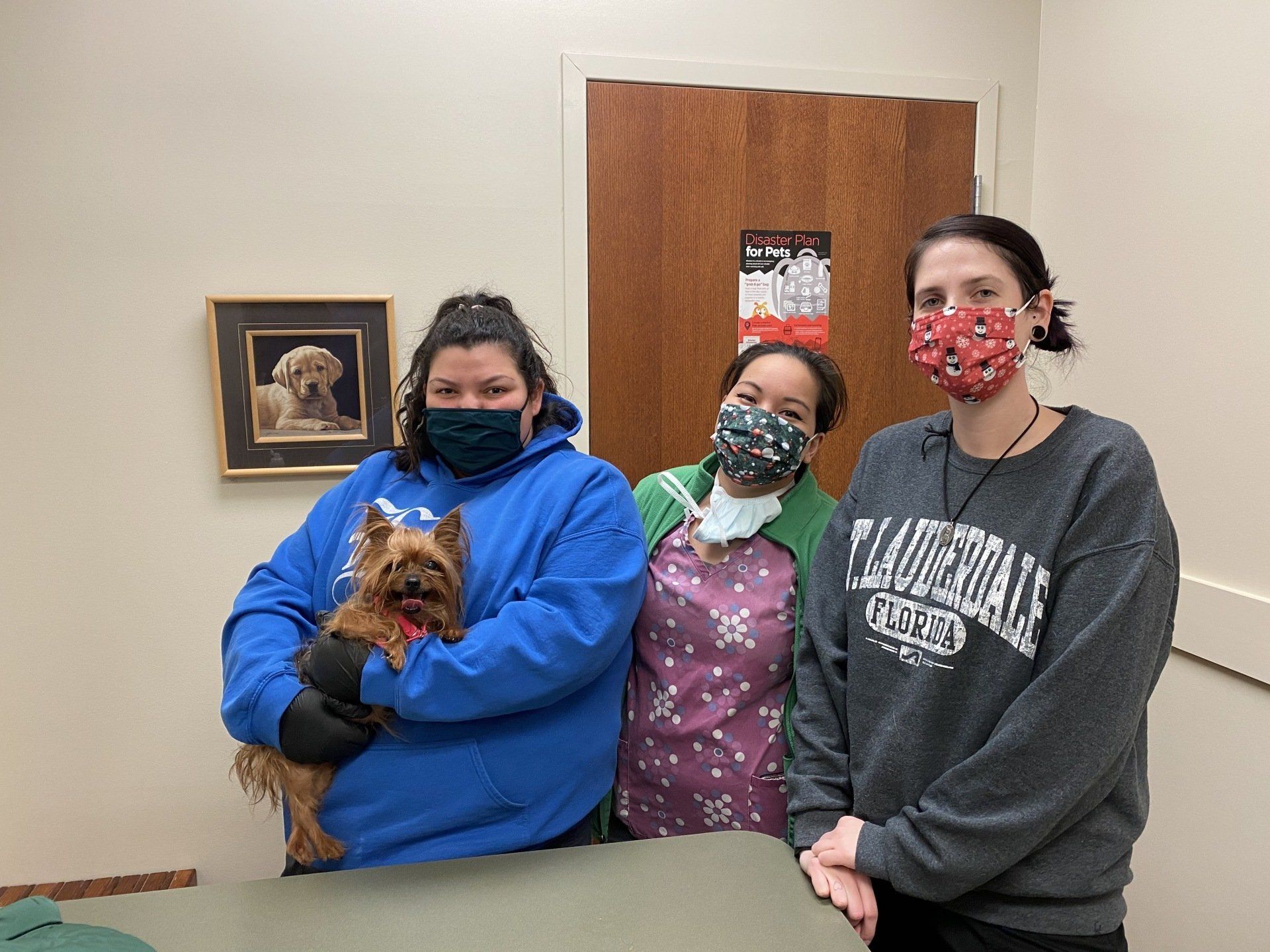 >Meet our Team At Hayfield Animal Hospital Veterinary Doctor