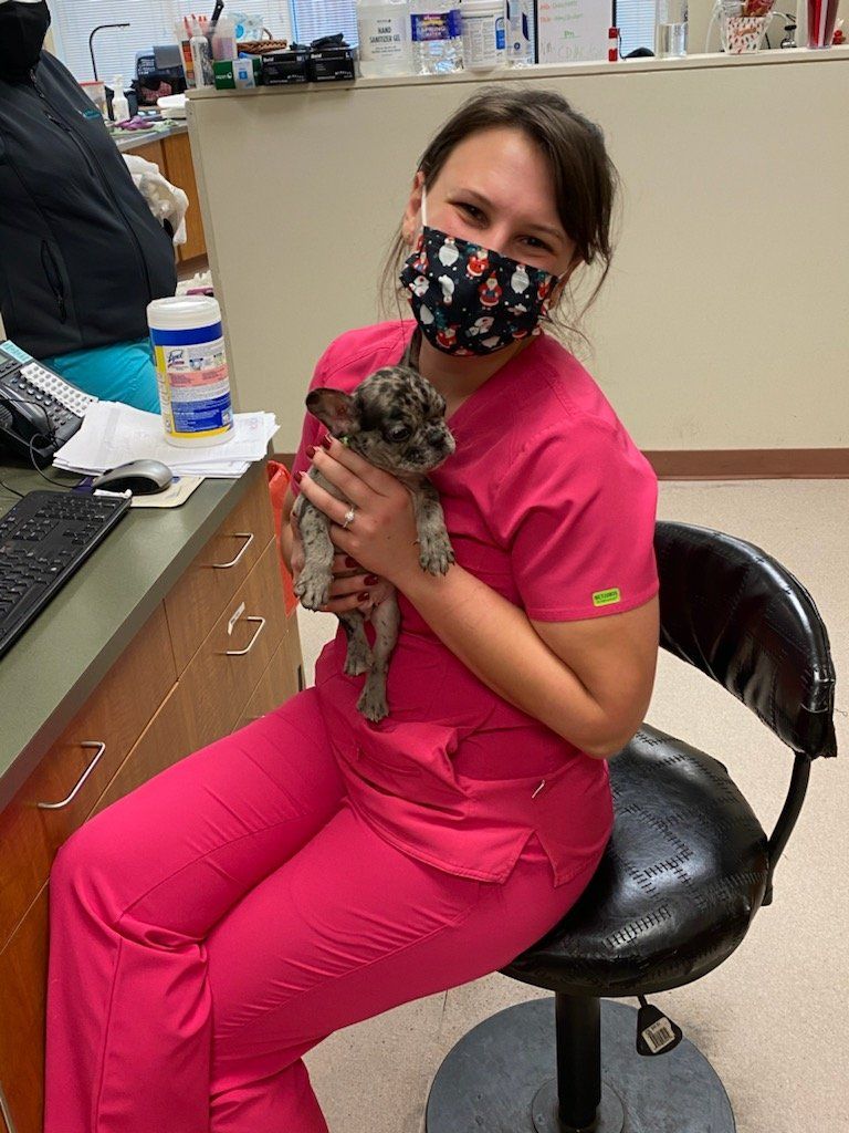 >Meet our Team At Hayfield Animal Hospital Veterinary Doctor