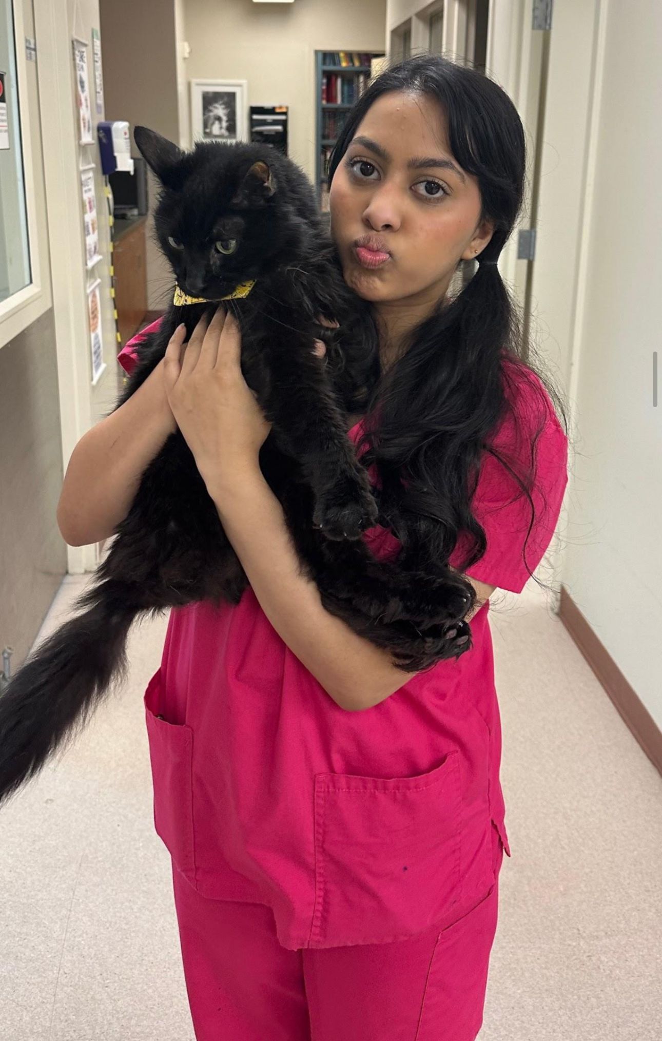 >Meet our Team At Hayfield Animal Hospital Veterinary Doctor