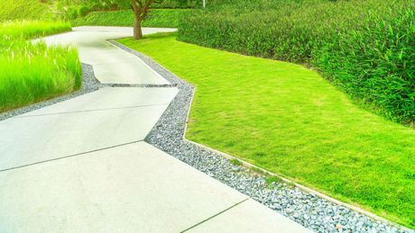 A concrete walkway surrounded by grass and bushes in a park.
