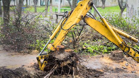 A yellow excavator is removing a tree stump from the ground.