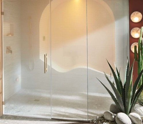 A bathroom with a plant in front of a glass door.