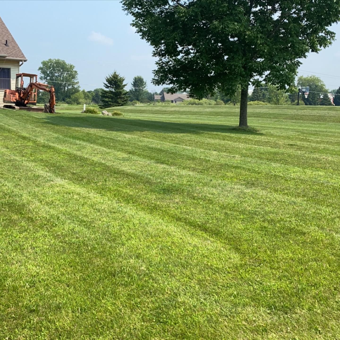 A lush green field with a house in the background