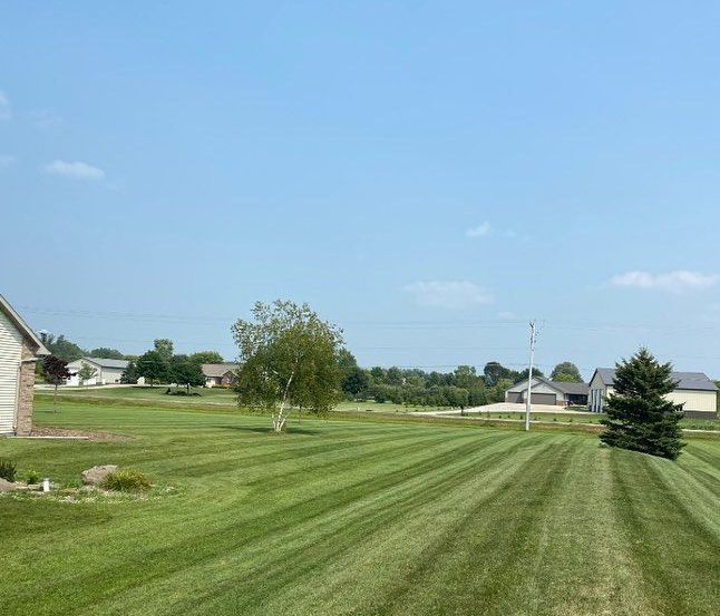 A lush green field with a house in the background and a blue sky.