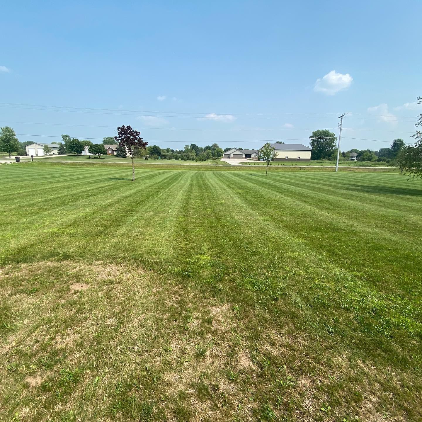 A lush green field of grass with a blue sky in the background.