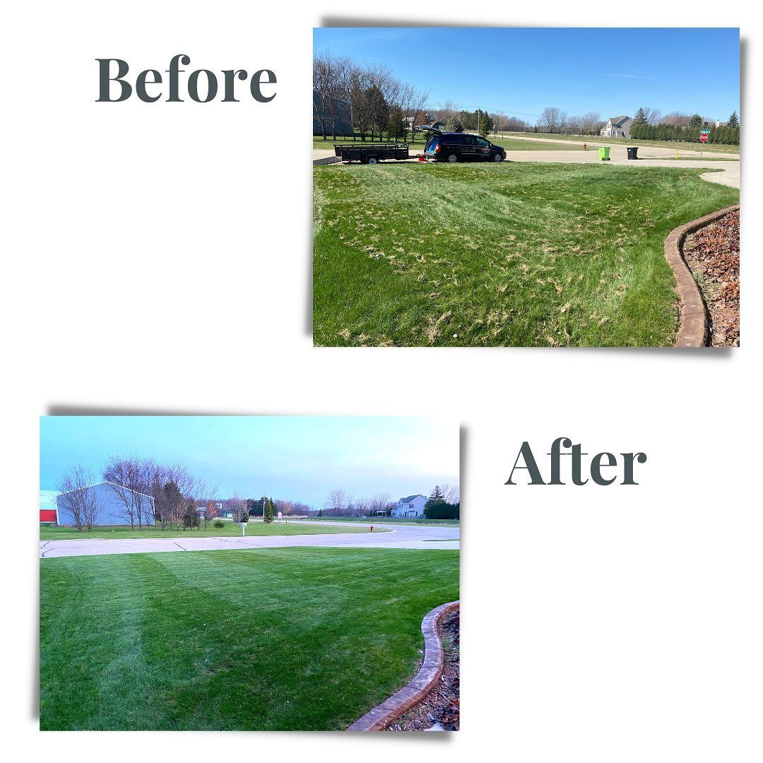 A before and after picture of a lush green lawn