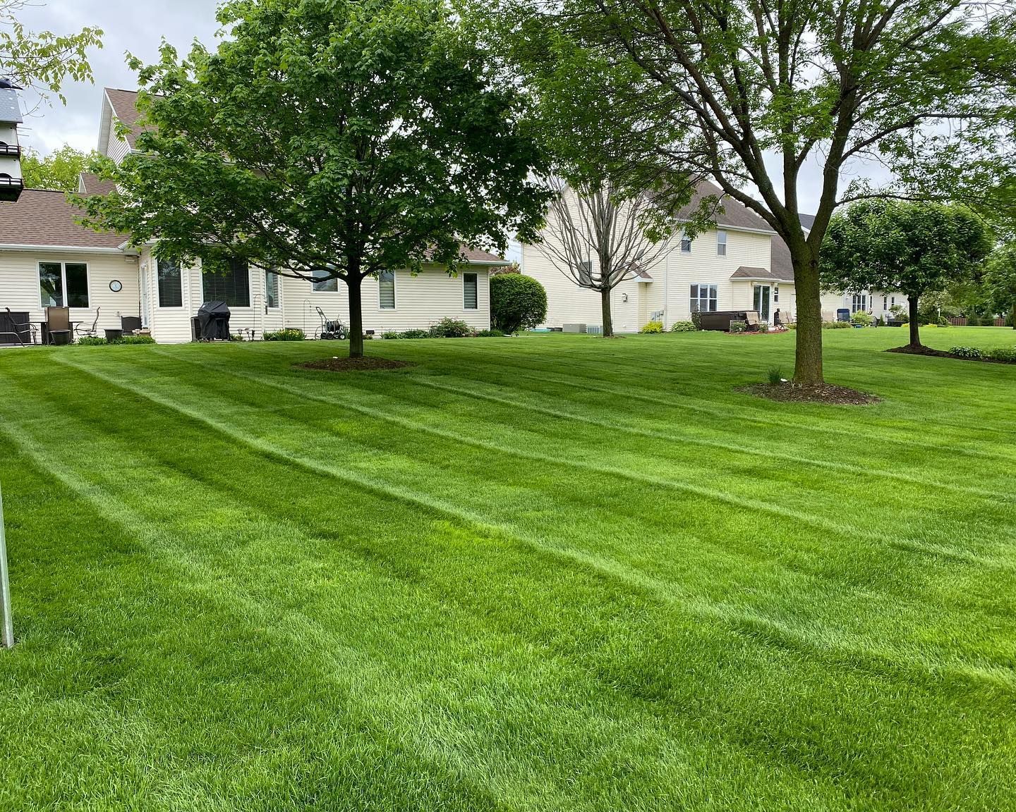 A lush green lawn with trees in front of a house.