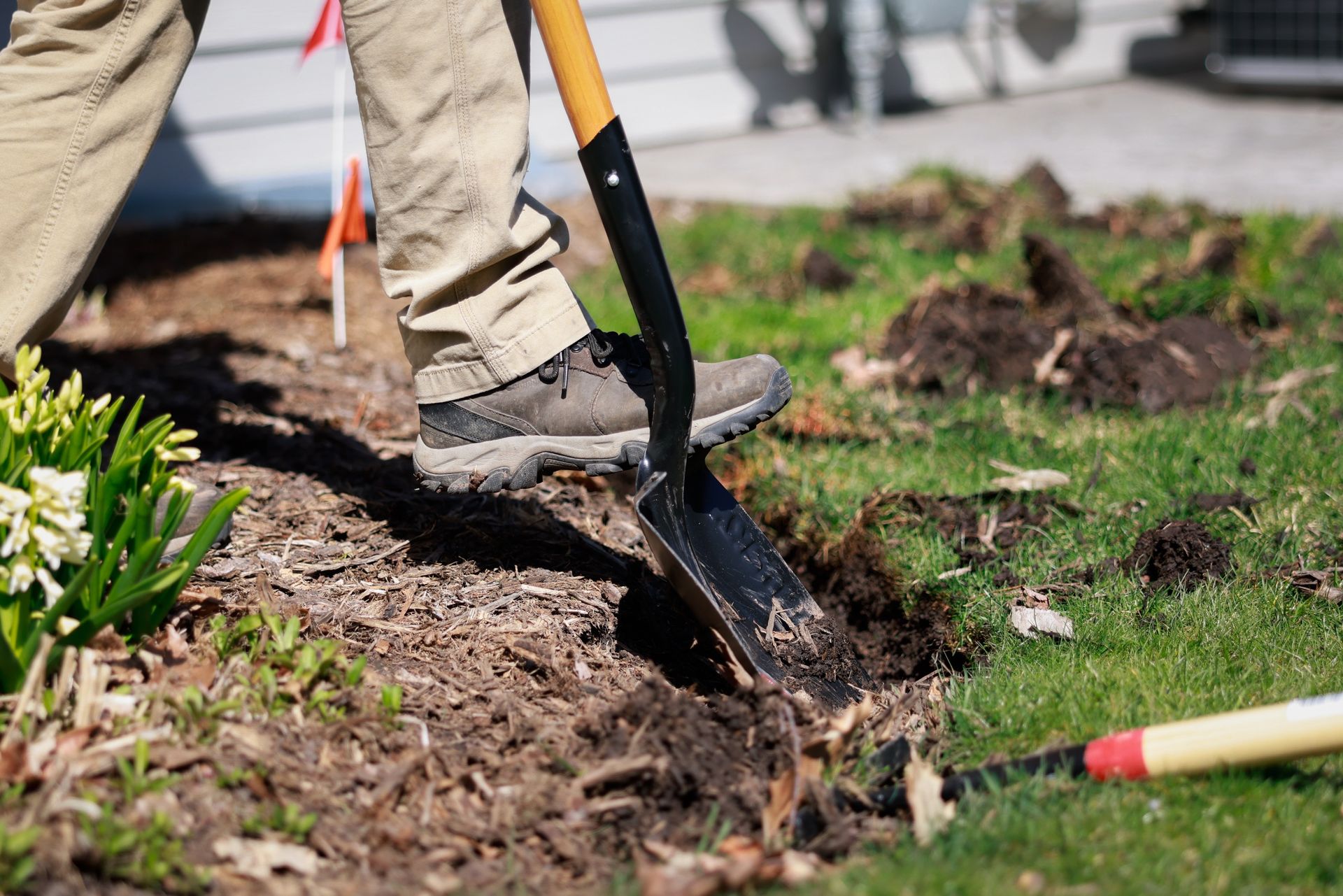 A person is digging a hole in the ground with a shovel.