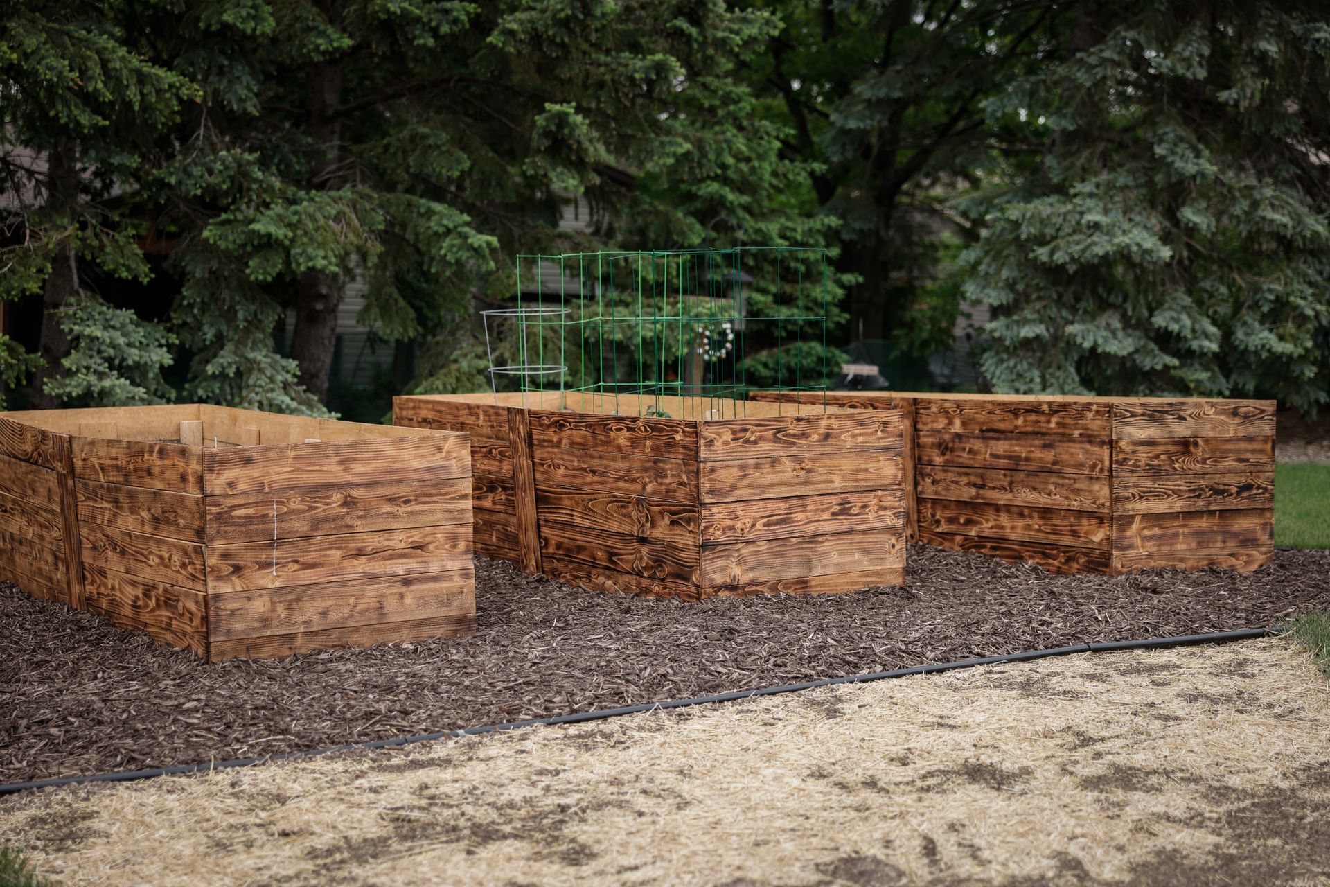A row of wooden boxes are sitting on top of a dirt field.