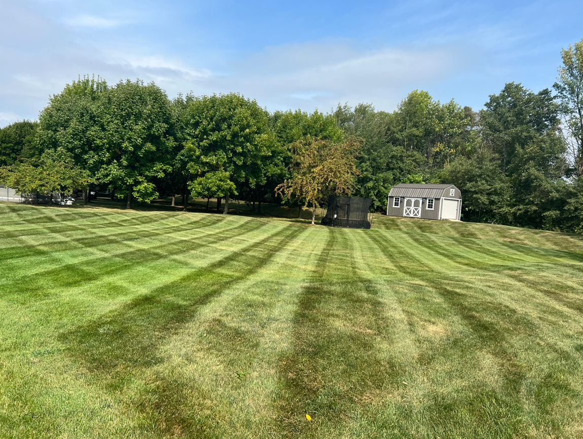 A lush green field of grass with a house in the background.