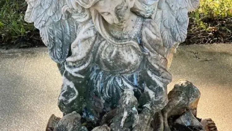 Power washing services