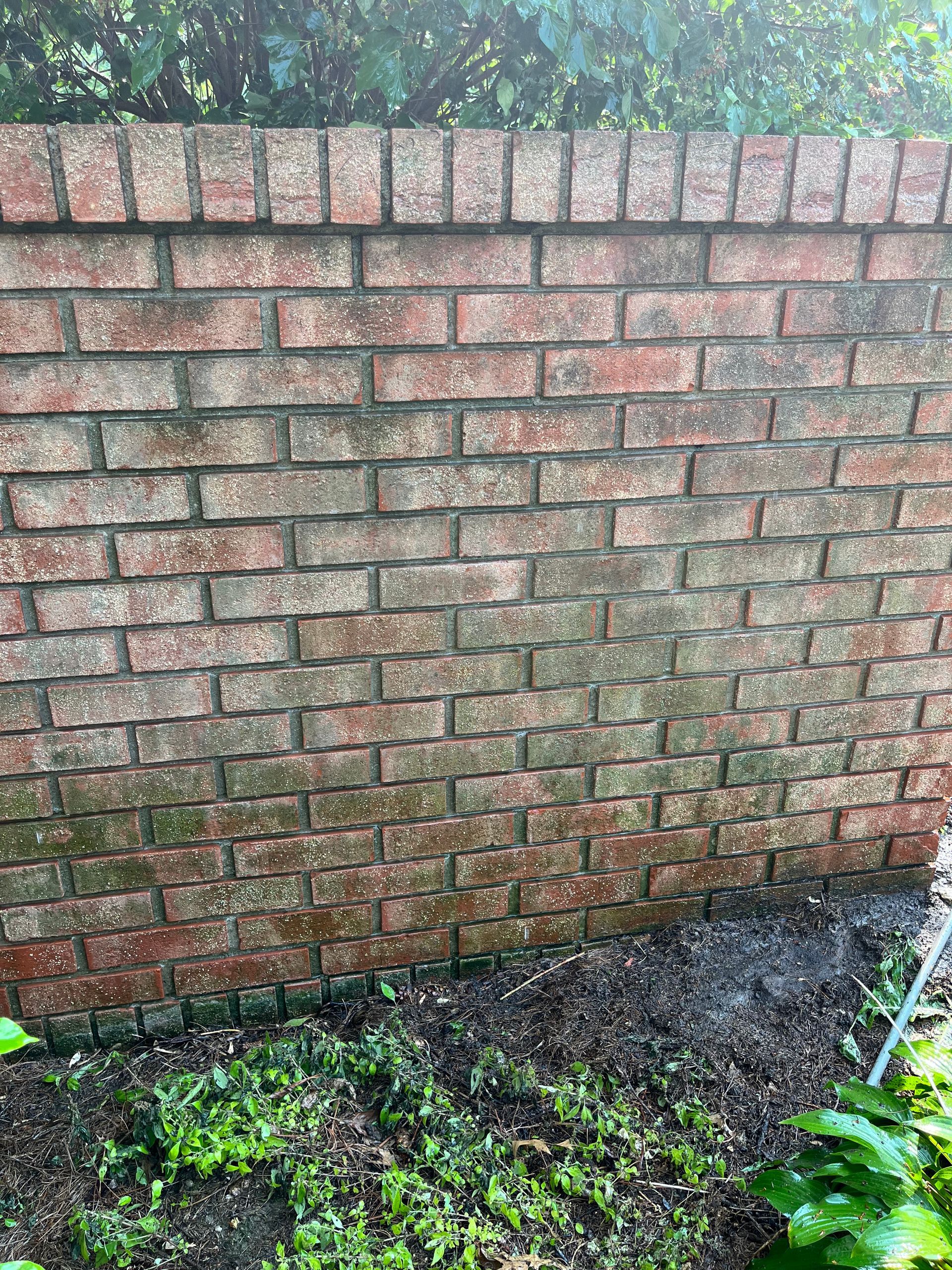 brick wall power wash - before