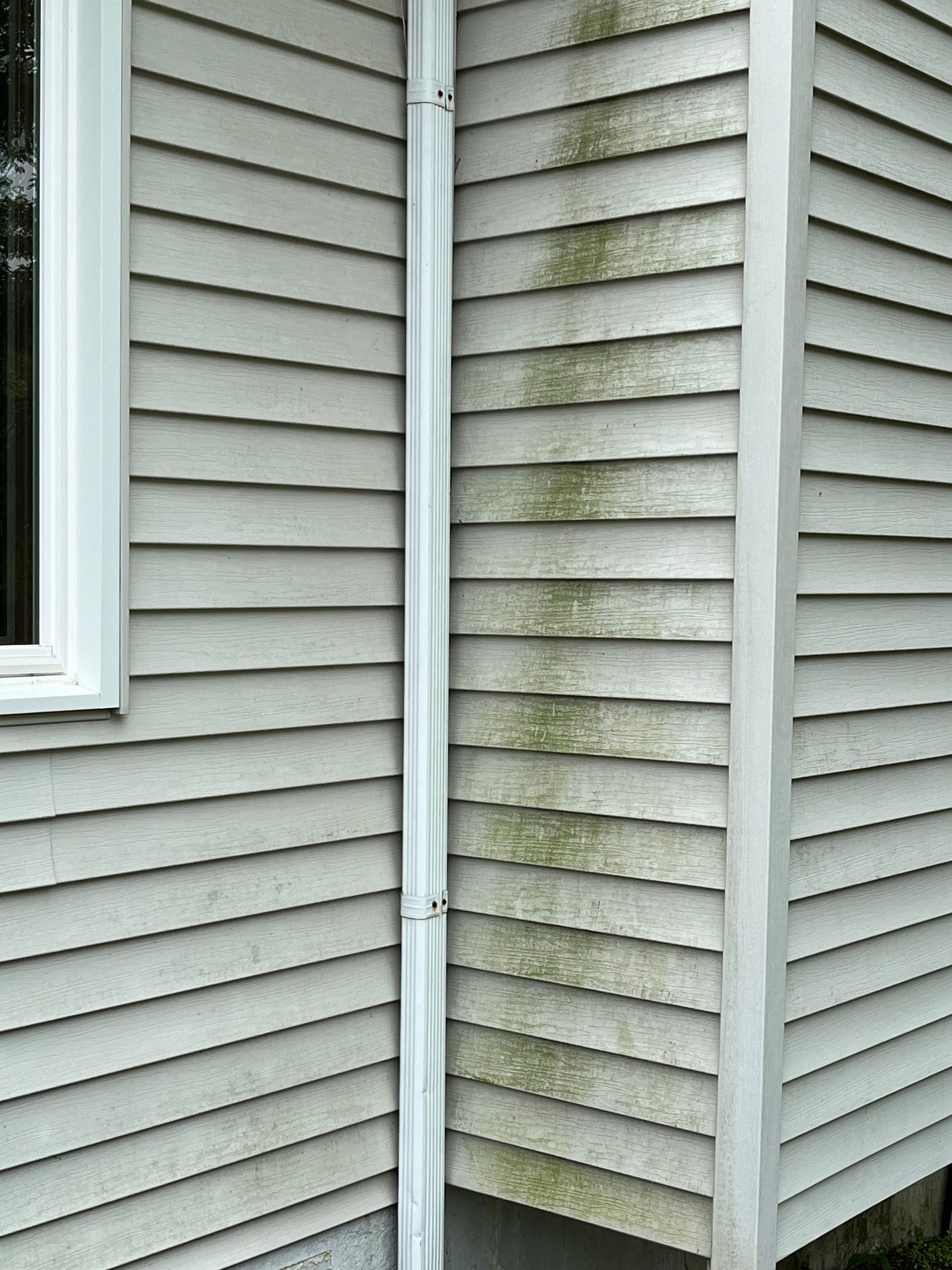 dirt on siding - before