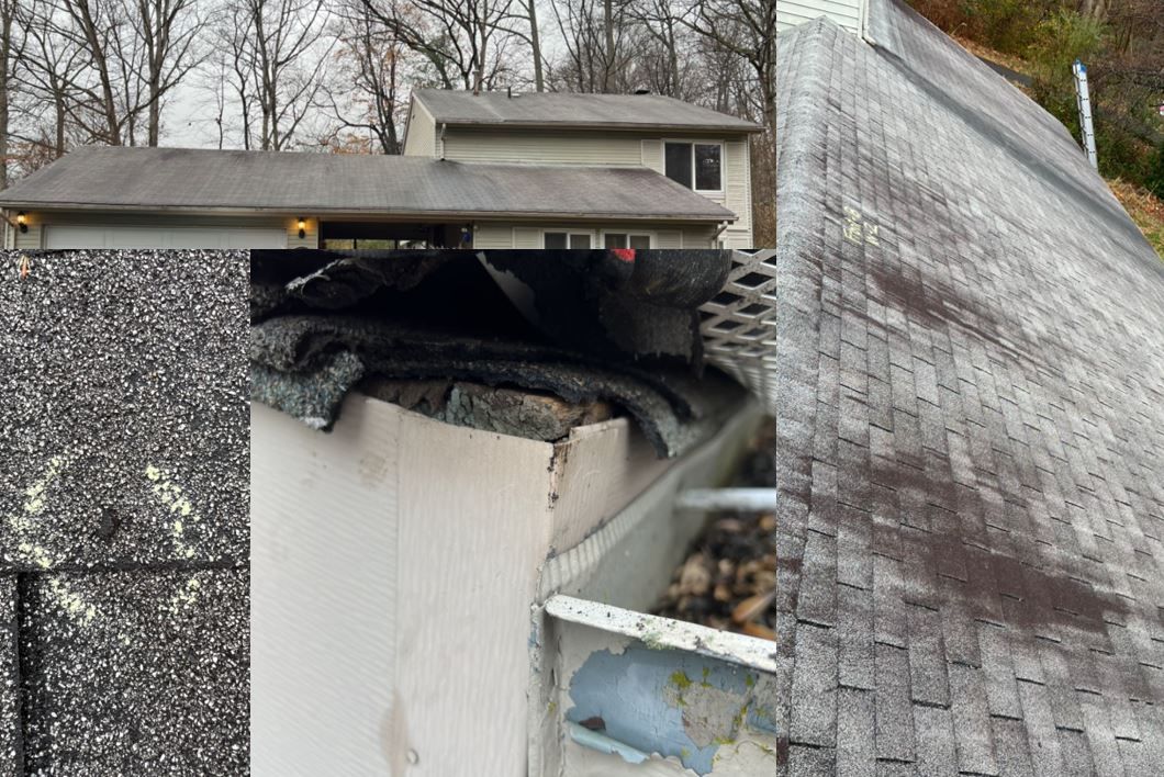 roof repair, roof neglect, roof contractor, roofer, roof installation