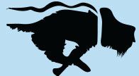Cleverdog Grooming Day Care & Boarding
