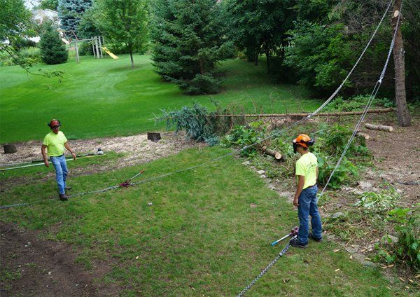 Setting up the rigging
