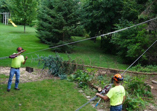 Tree is secured to pull away from the house