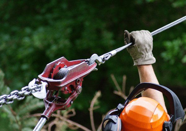 Heavy logging chains and thick steel cables