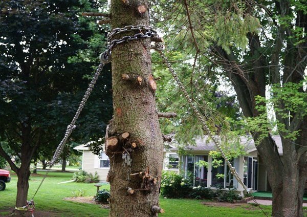 Two sets of winch lines