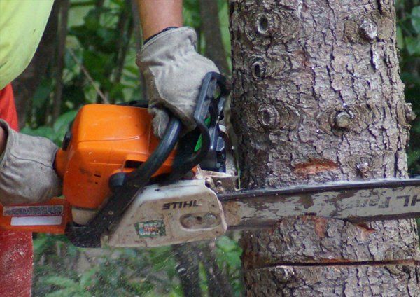 Finishing relief cut