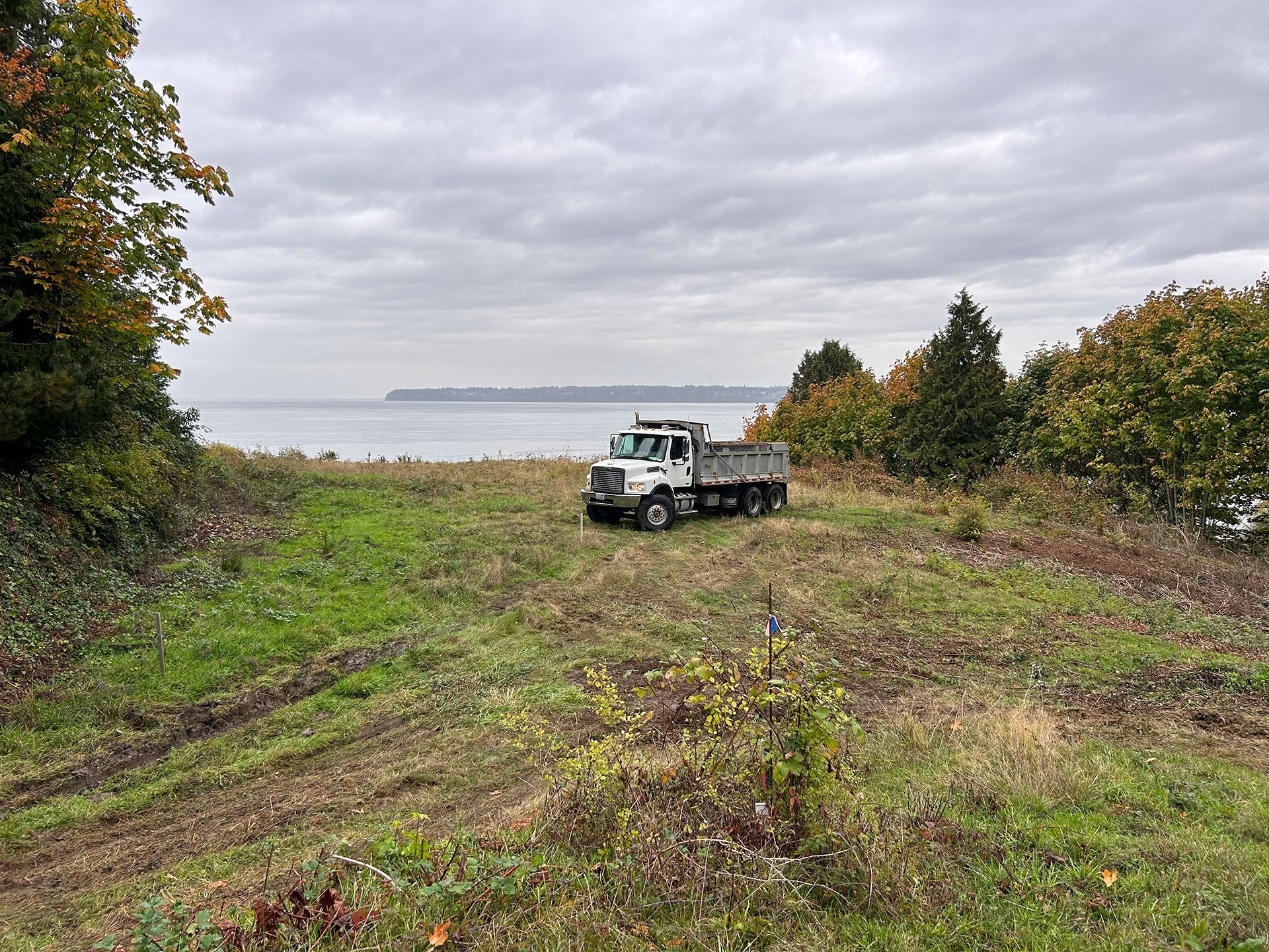 Truck in an open area