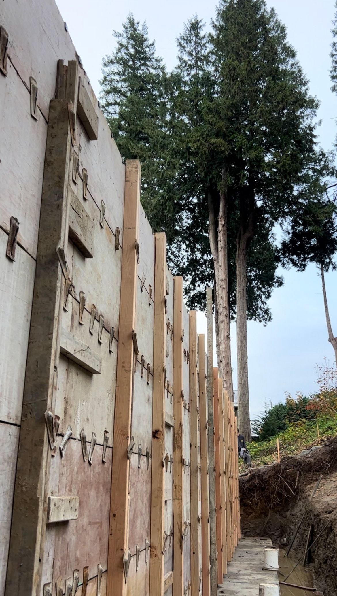 High wood concrete forms