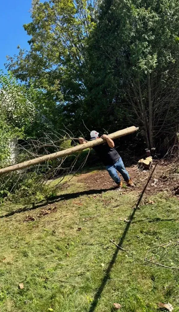 Person carrying a long wooden post across a grassy yard near a wooded area.