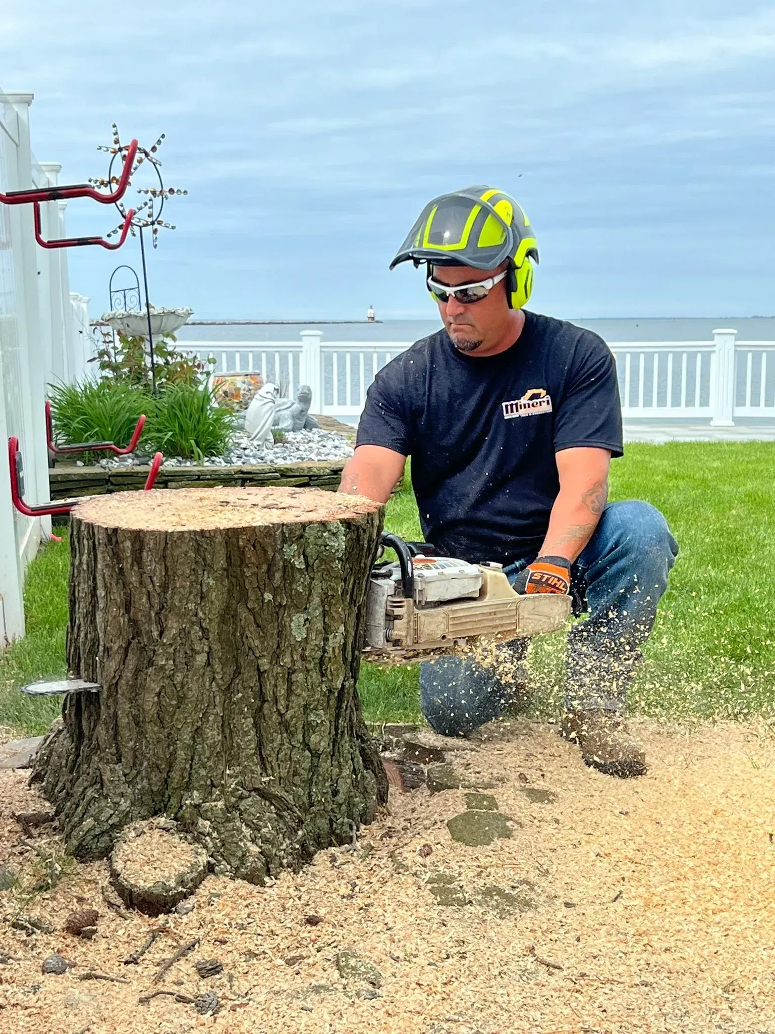 Man grinding down tree stump with a chainsaw outdoors, wearing safety gear; sawdust flying.