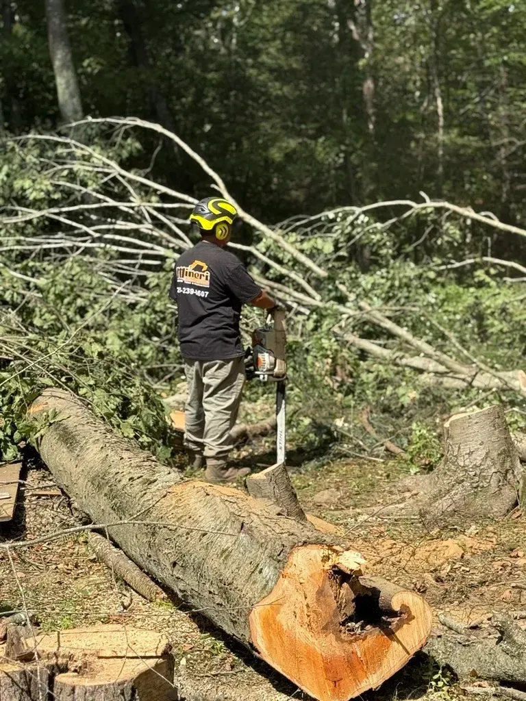 Man using a chainsaw to cut a log in a wooded area.