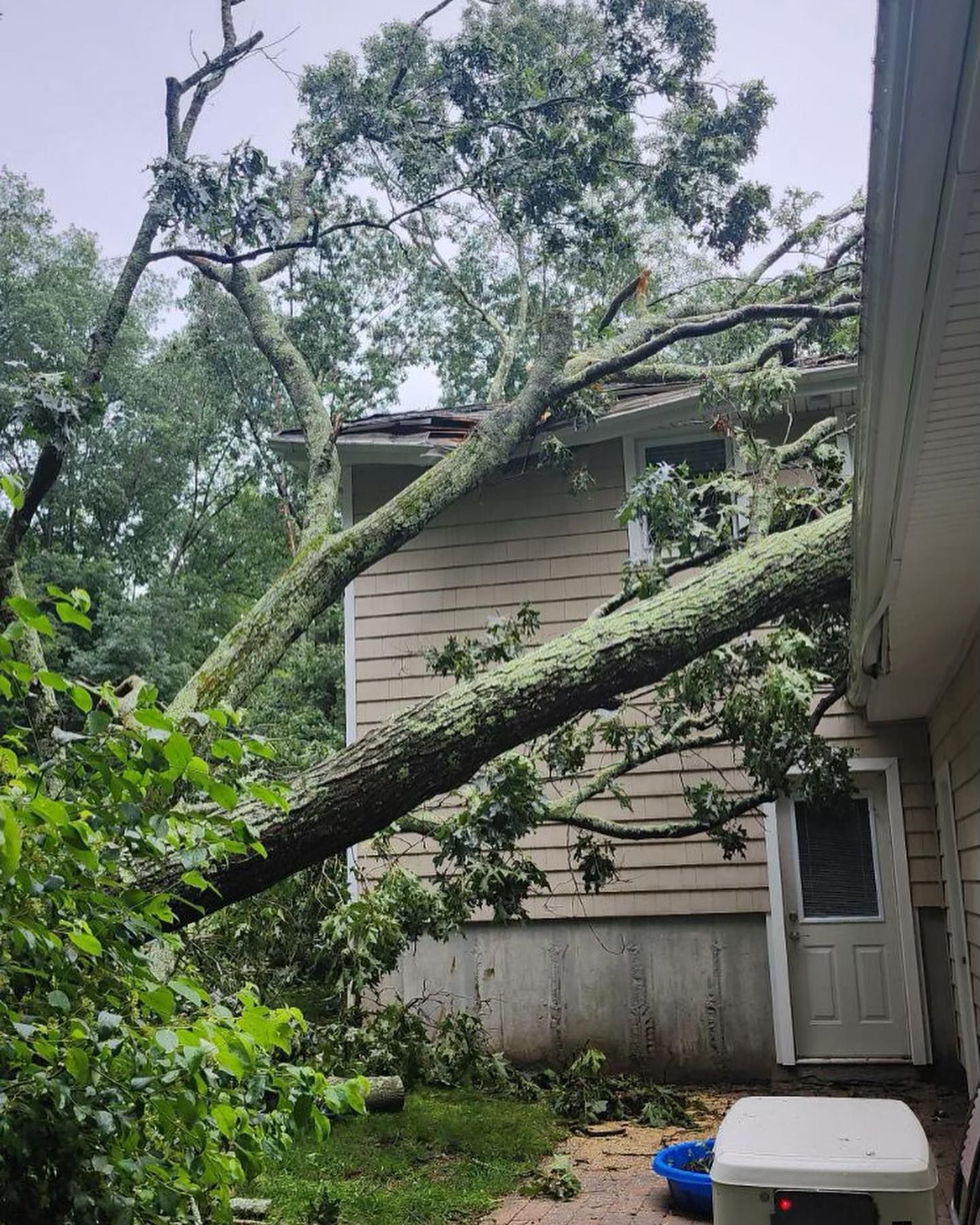 Fallen tree branches on a house, damage to roof. Green foliage and white siding.