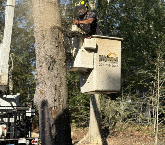 Mineri Landscaping LLC