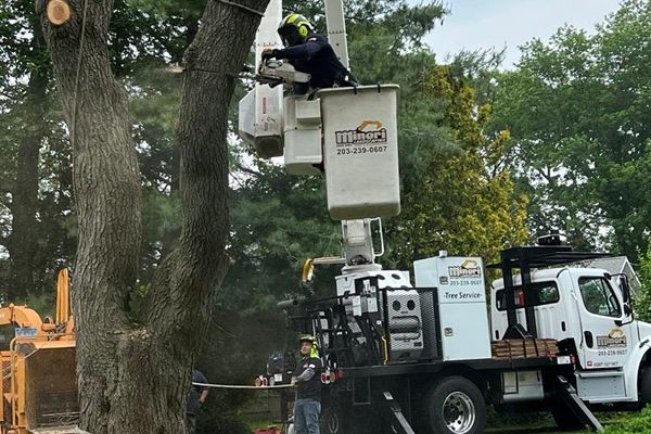 Mineri Landscaping LLC