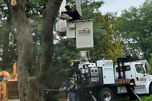 Mineri Landscaping LLC