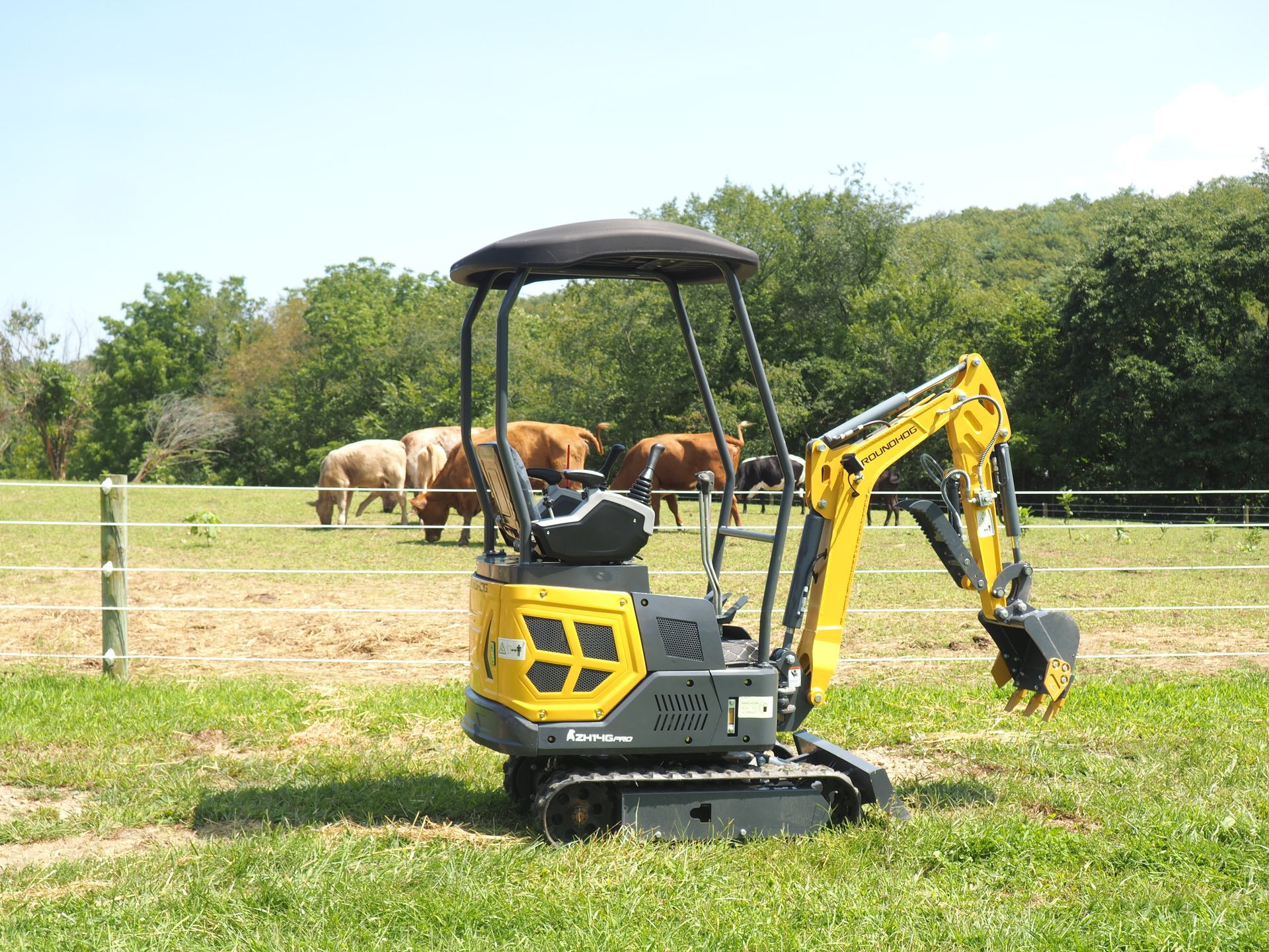 Yellow and gray mini excavator in a grassy field with cows grazing in the background.