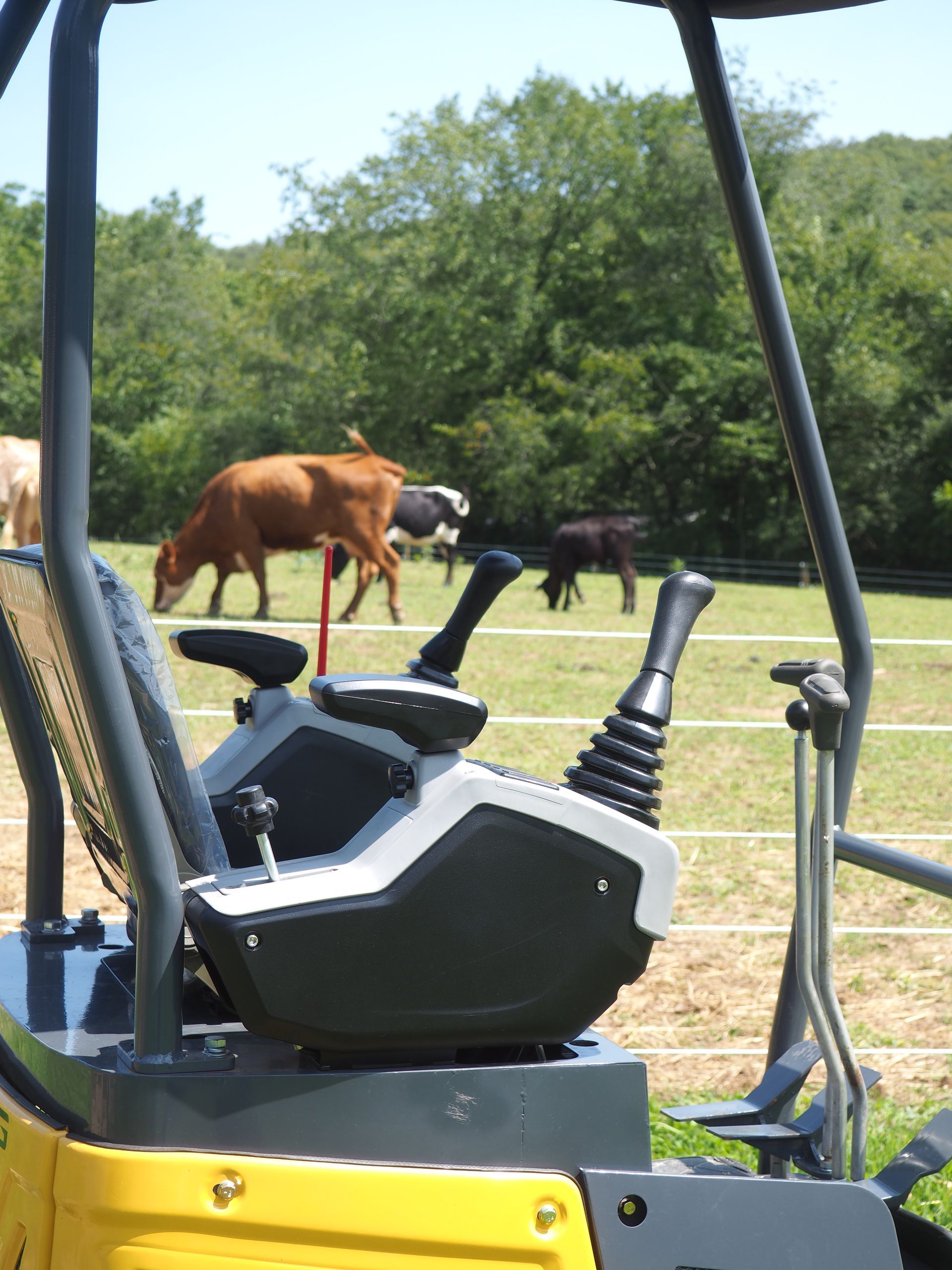 View from inside an excavator cab, controls in foreground, cows grazing in a field background.