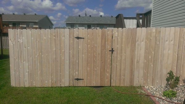Before fence staining