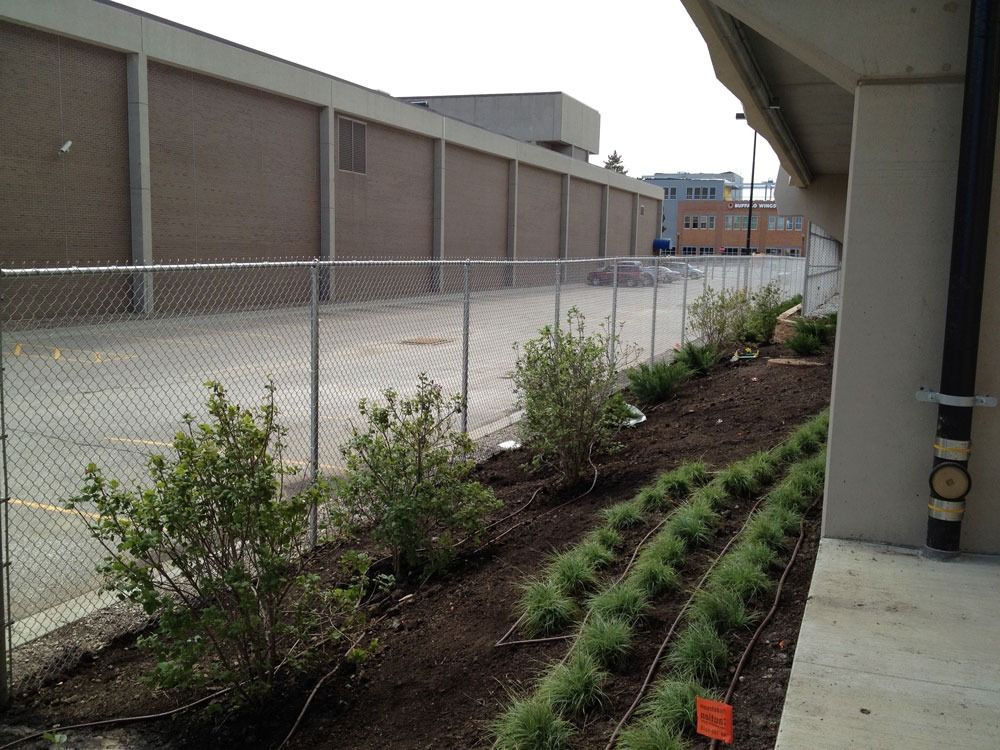 A fence separates a planting bed with shrubs and grass from a building and parking lot.