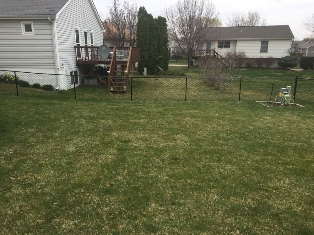 Black chain-link fence encloses a green backyard, adjacent to a two-story house with a wooden deck.