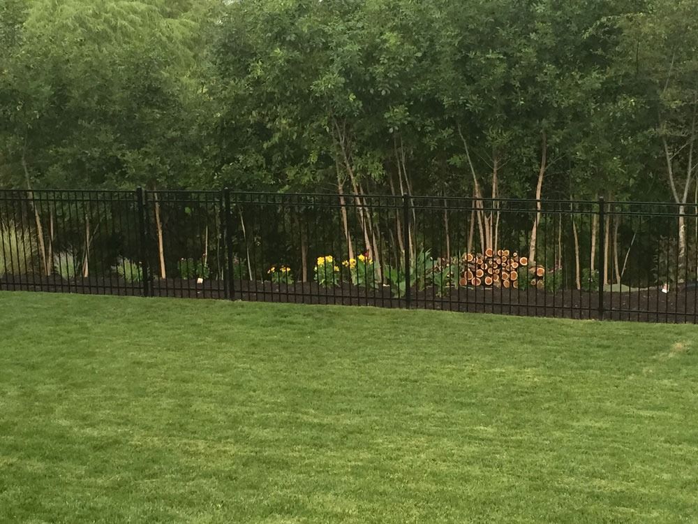 Green grass yard with a black metal fence bordering a garden and trees.