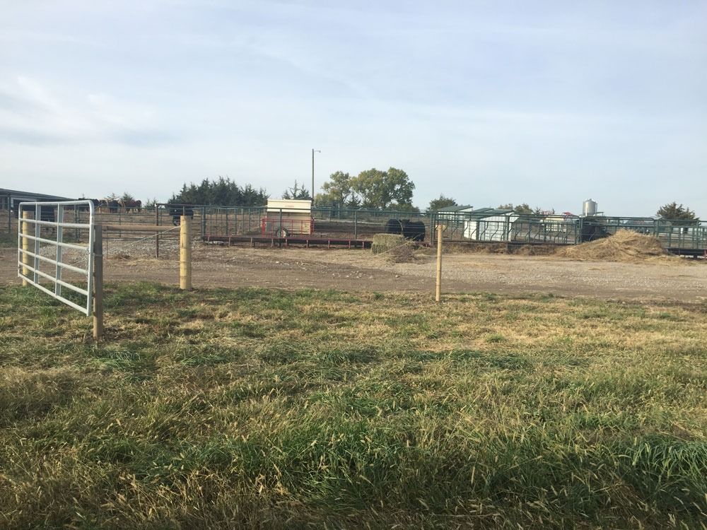 A rural scene with a gate, fence, grassy foreground, and farm buildings under a cloudy sky.