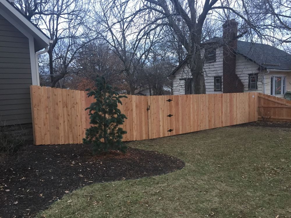 Wooden fence along a grassy backyard, connecting two houses; small evergreen tree in front of fence.