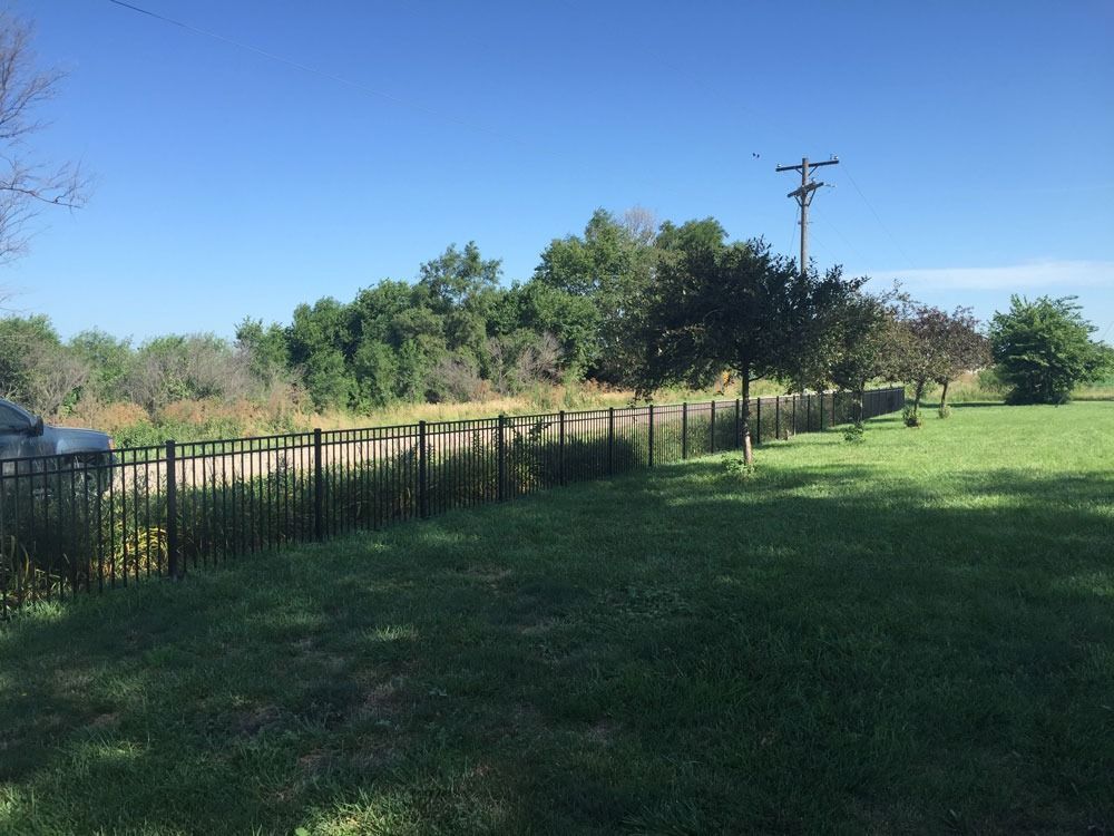 A black metal fence lines a green grassy yard next to a wooded area under a blue sky.