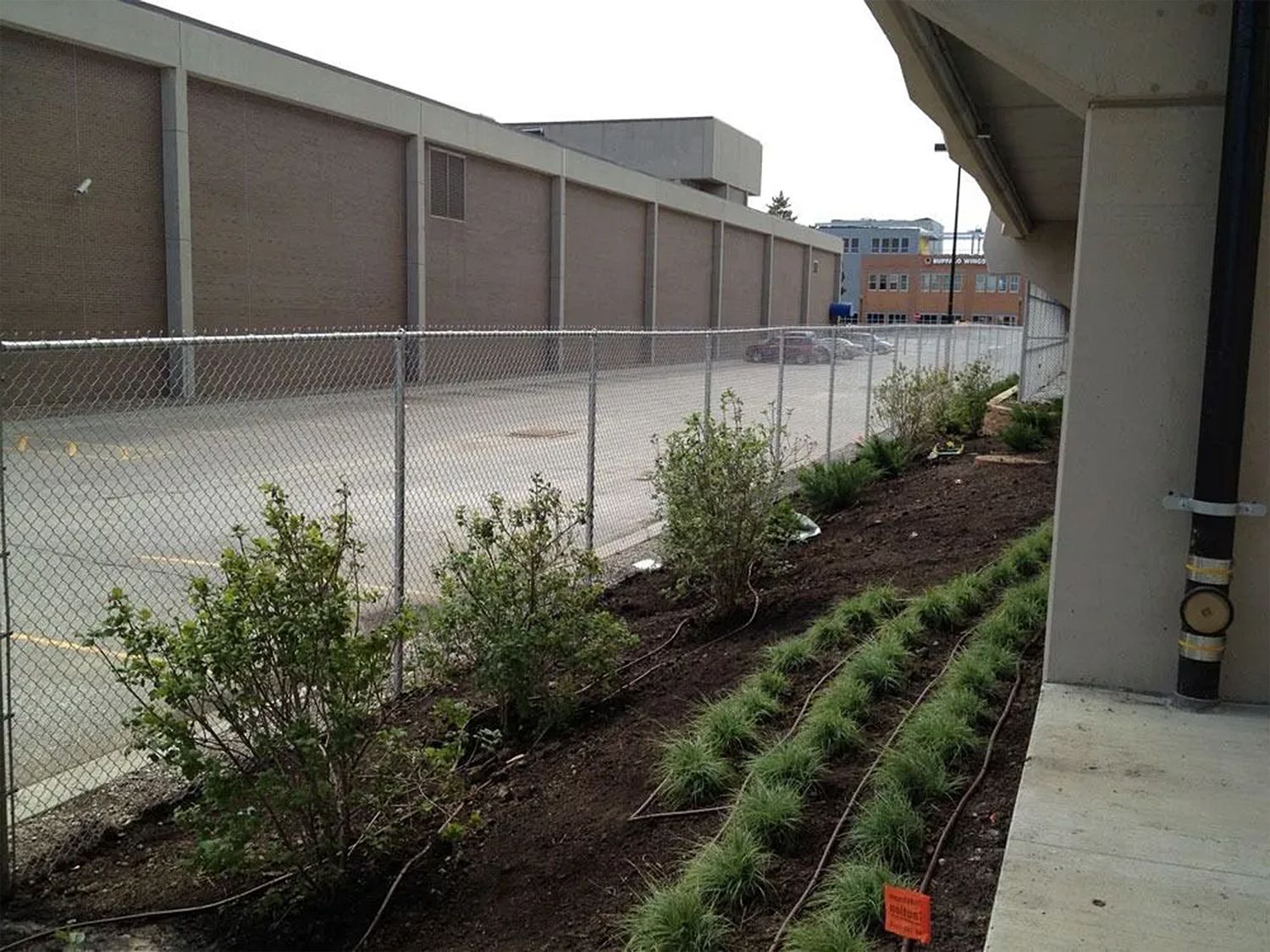 A planted bed of green plants and bushes next to a chain-link fence and tan building.