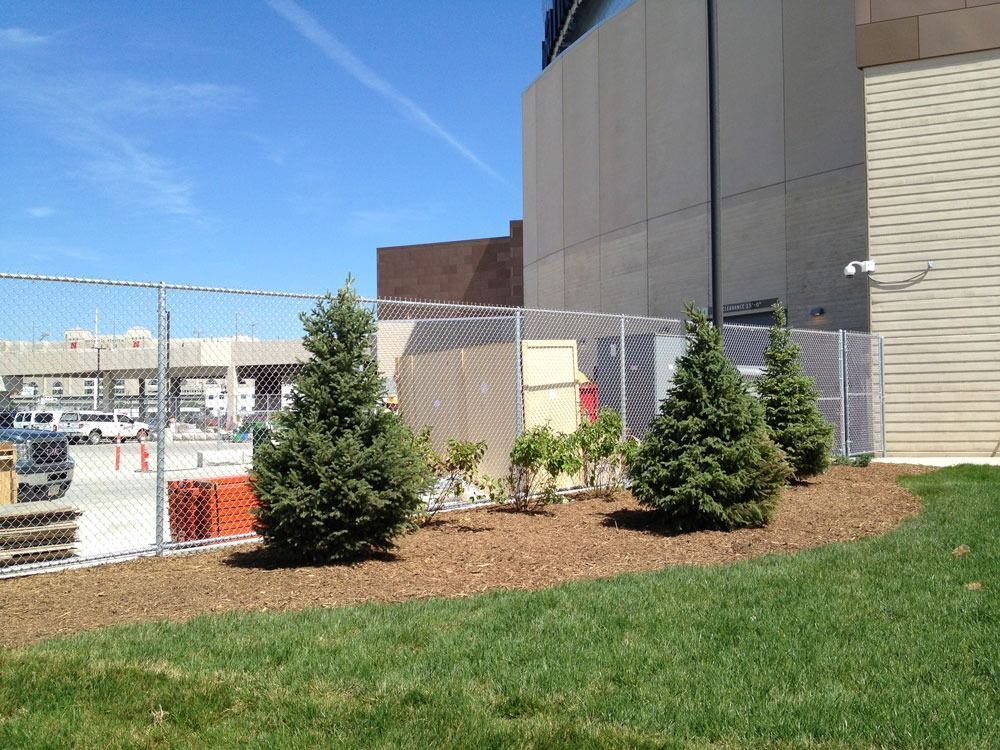 Green trees in front of a metal fence, next to a building. Clear blue sky.