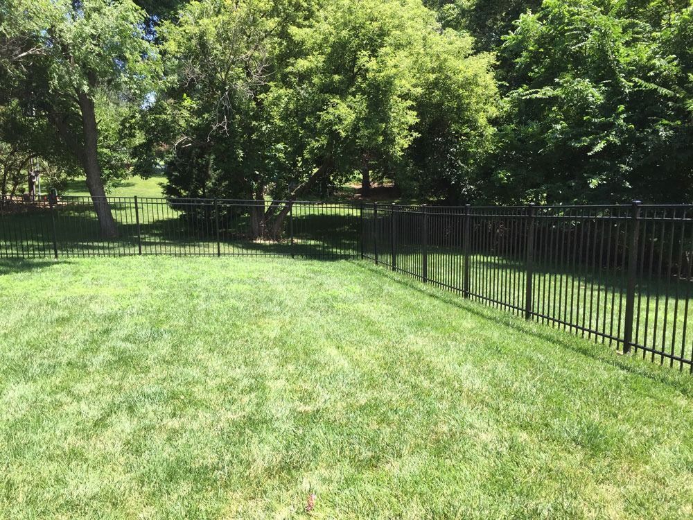 Green lawn bordered by a black metal fence, with trees in the background under a blue sky.