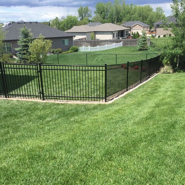 Black metal fence around a green grassy yard.