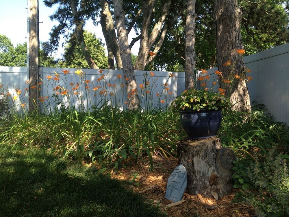 A garden bed with orange daylilies, a potted plant on a tree stump, and a white fence in the background.