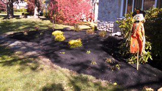 Landscape Designs