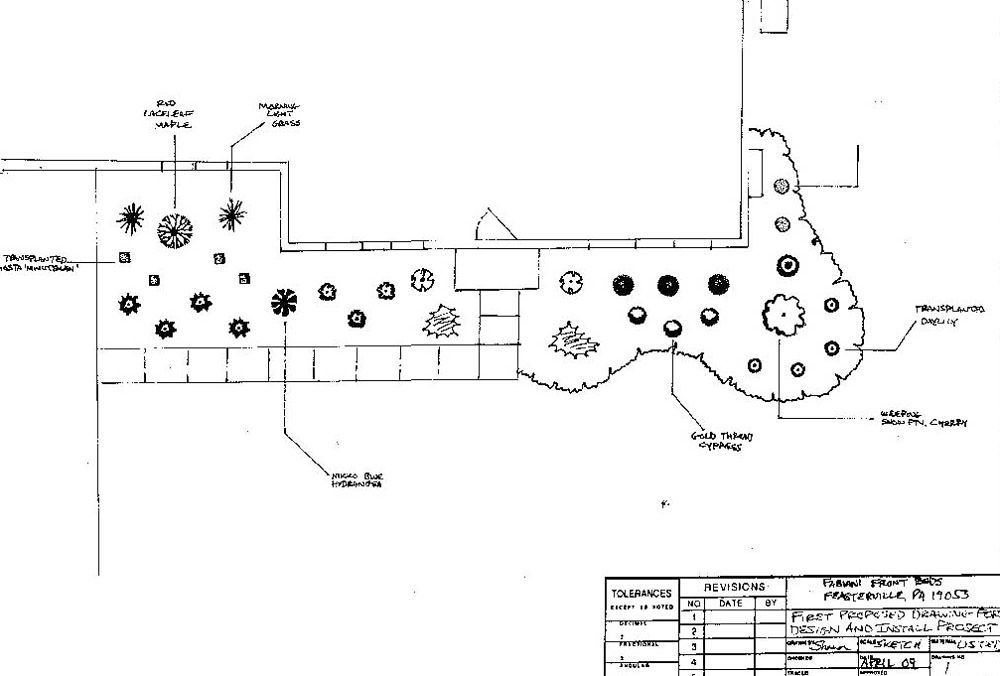 Computer Generated Designs